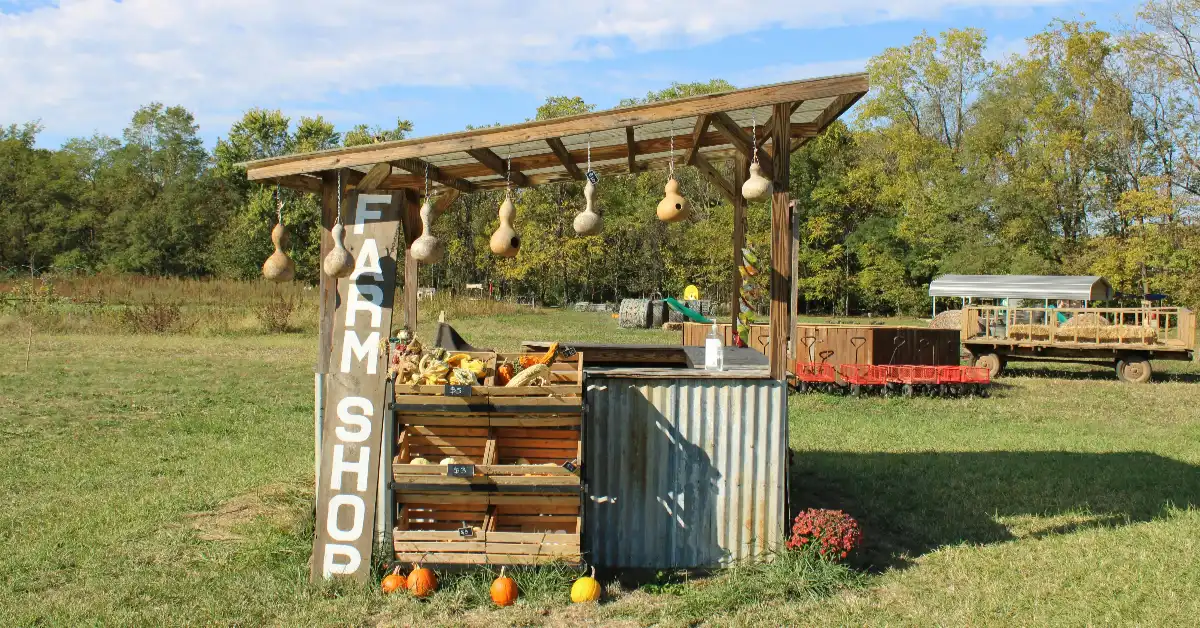 The Best 18+ Farm Stand Ideas You Need to Try