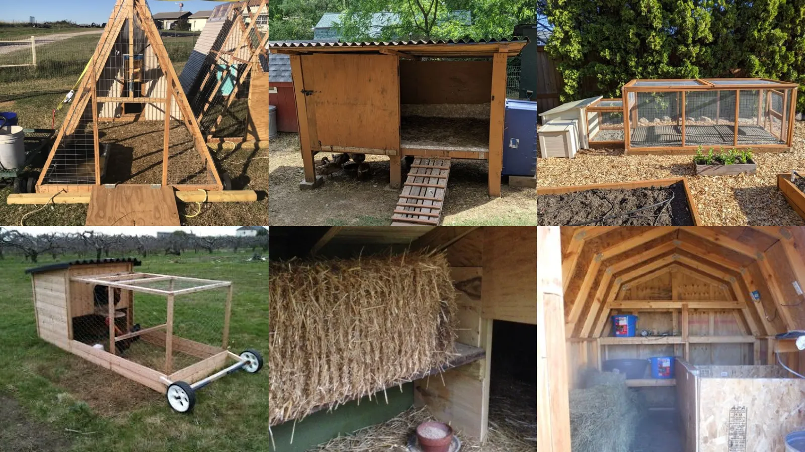 20+ Genius Duck Coop Ideas That Save Space