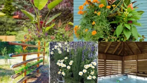 19+ Stunning Tropical Planter Ideas That Transform Spaces