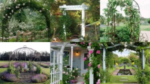 20+ Stunning Arbor Planting Ideas That Transform Yards