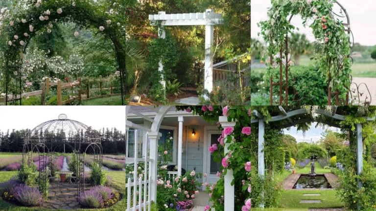 20+ Stunning Arbor Planting Ideas That Transform Yards