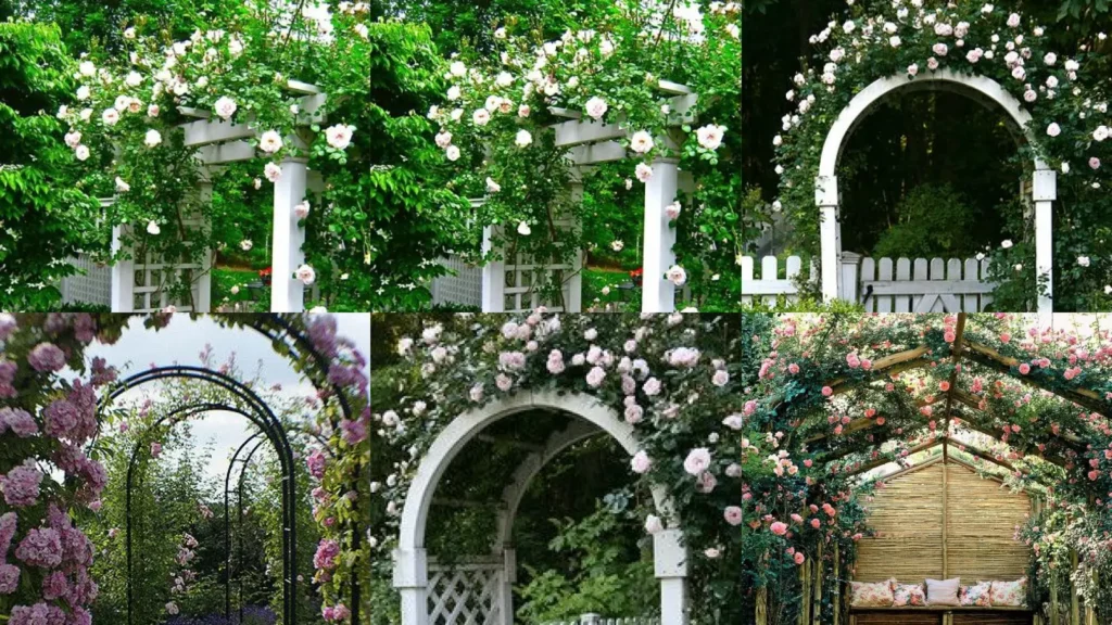 18+ Stunning Backyard Rose Arbor Ideas That Transform Yards