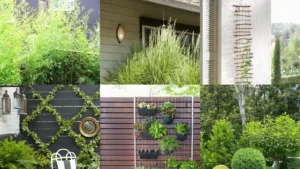 20+ Stunning Balcony Privacy Ideas Plants That Transform Views