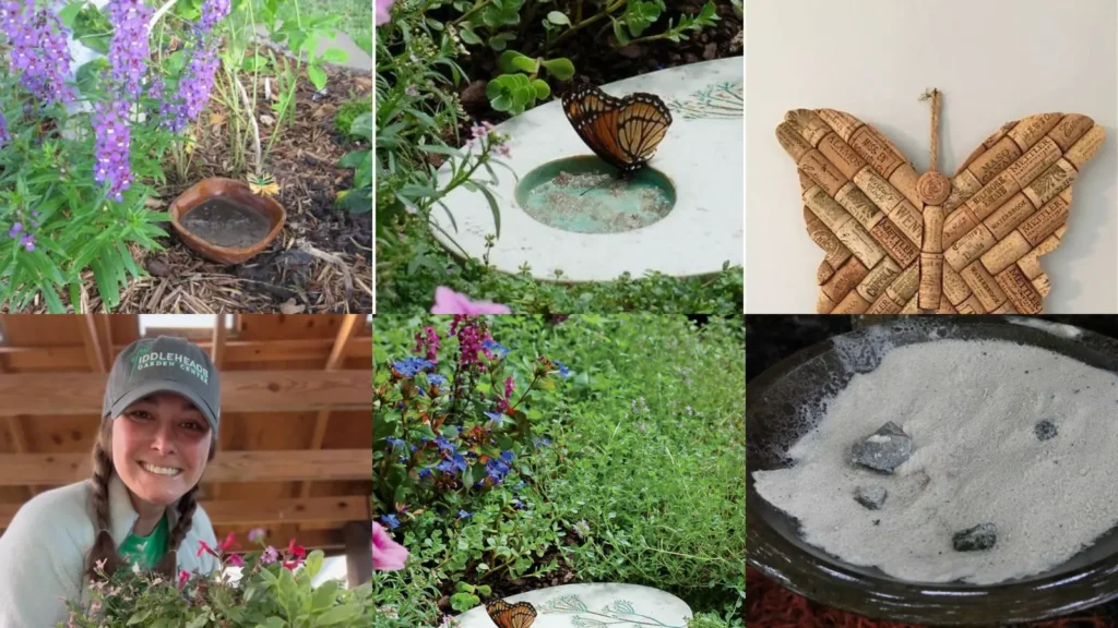 20+ Genius Butterfly Puddler Ideas That Attract Swarms