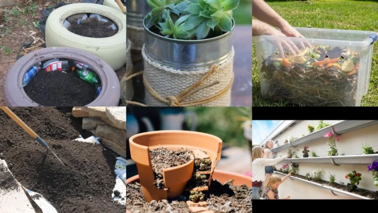 19+ Genius Cheap Gardening Ideas That Transform Yards