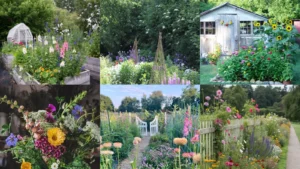 17+ Beautiful Cut Flower Garden Ideas That Bloom Year-Round