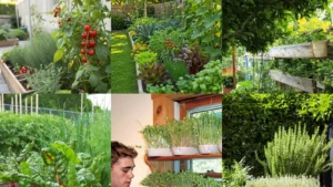 15+ Edible Gardening Ideas That Yield Triple Harvests