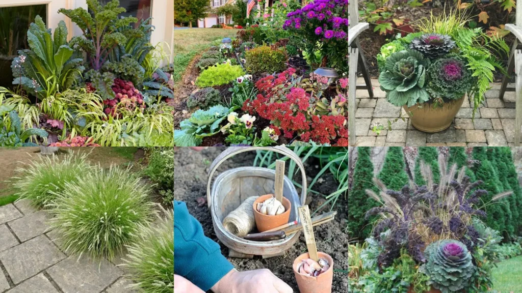 15+ Fall Planting Ideas Garden That Yield Nonstop Harvests