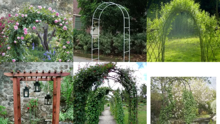 19+ Stunning Garden Arch Ideas That Transform Any Yard
