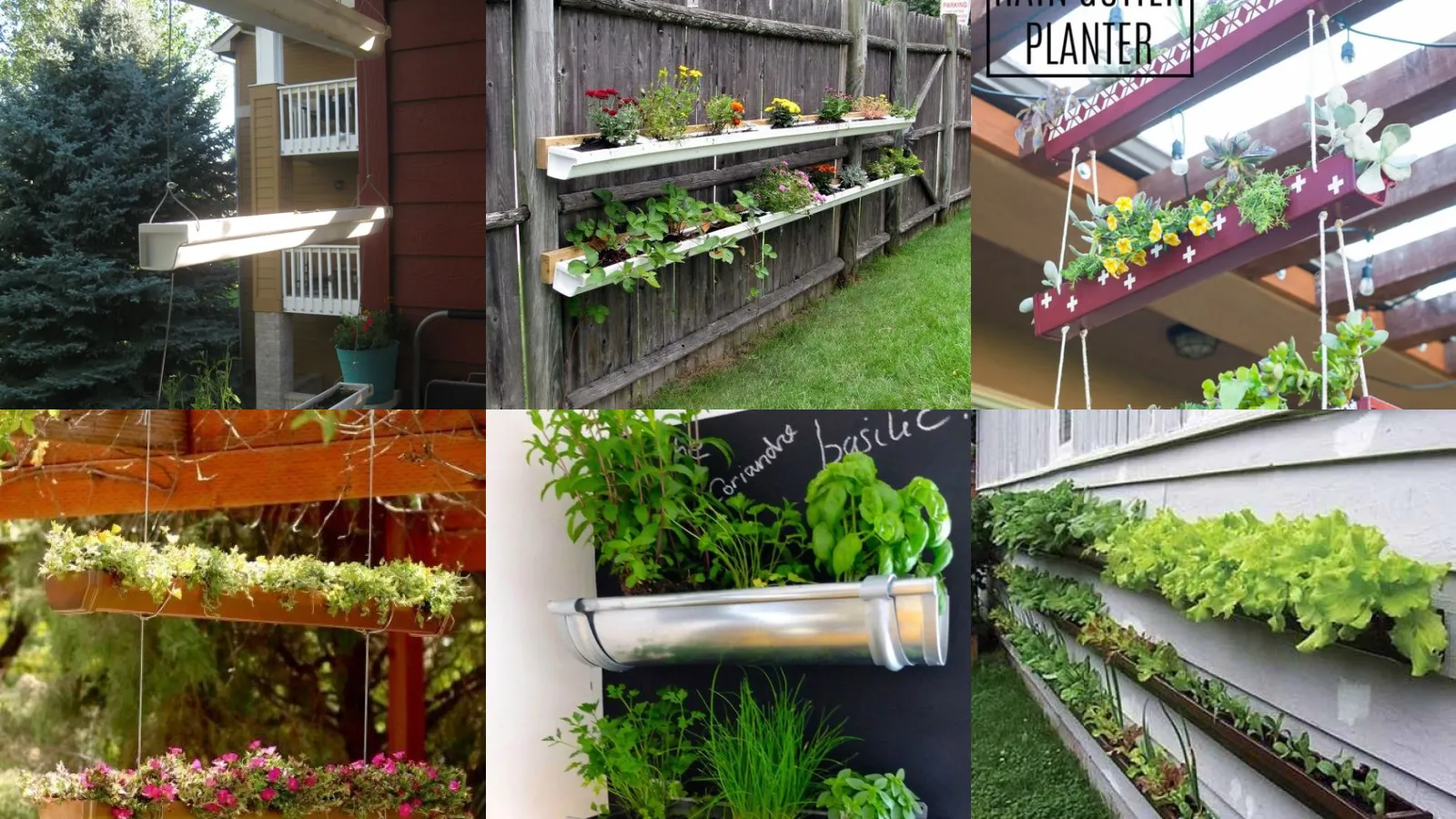 20+ Genius Gutter Gardening Ideas That Transform Tiny Spaces