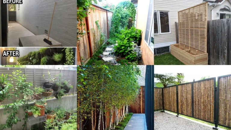 16+ Narrow Side Yard Ideas That Transform Wasted Space