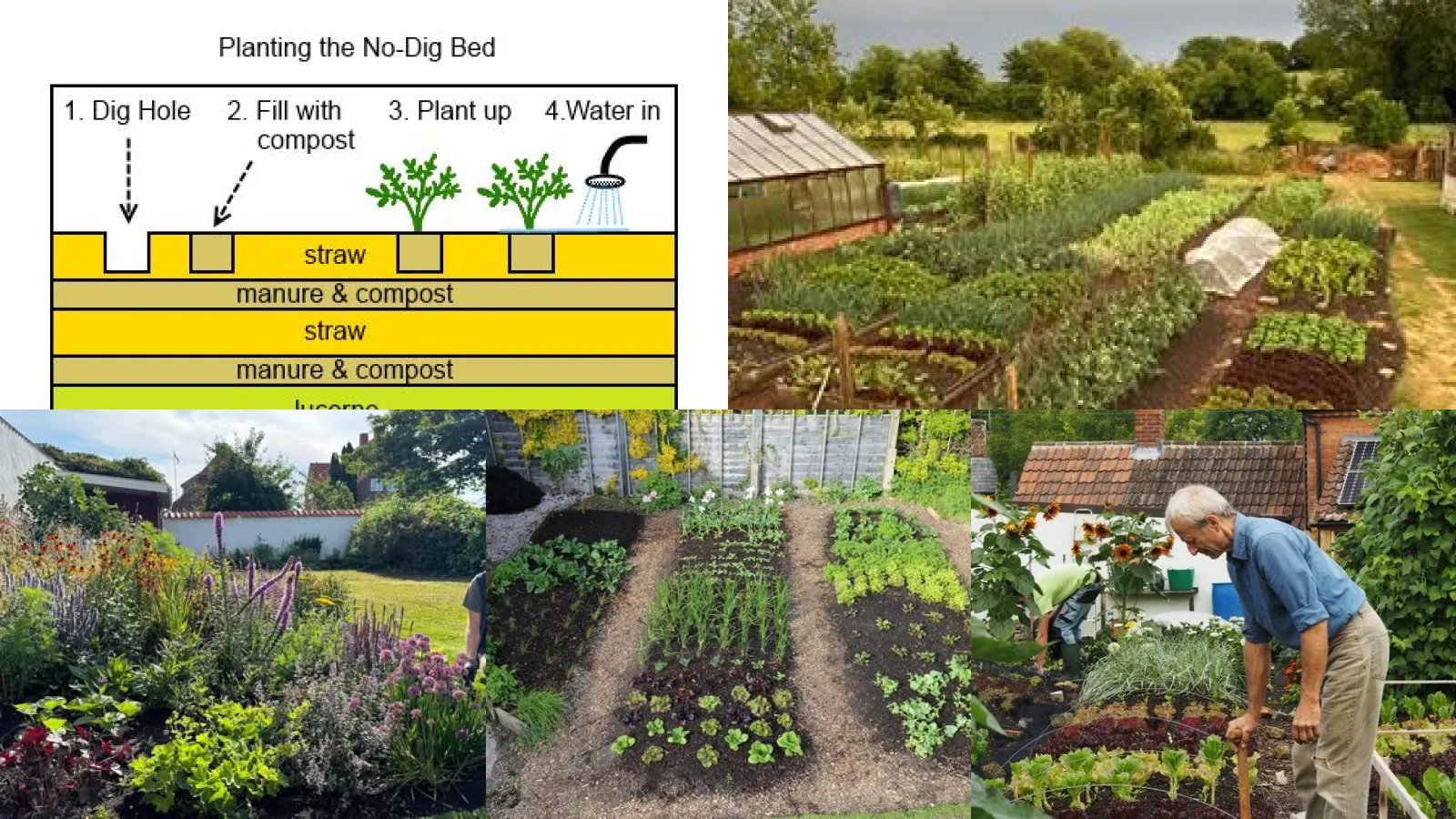 20+ No Dig Gardening Ideas That Double Your Harvest