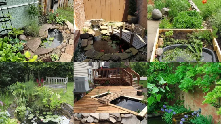 19+ Stunning Pond Ideas Backyard Small Spaces Transform