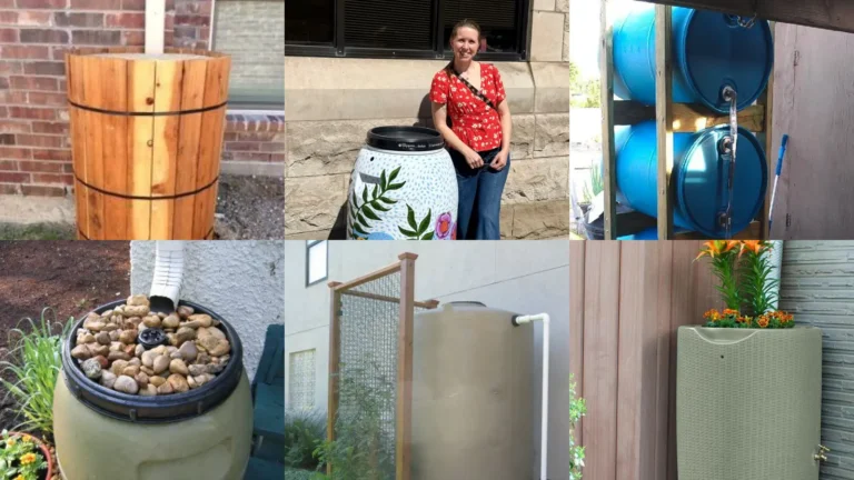 20+ Genius Rain Barrel Ideas That Save Thousands