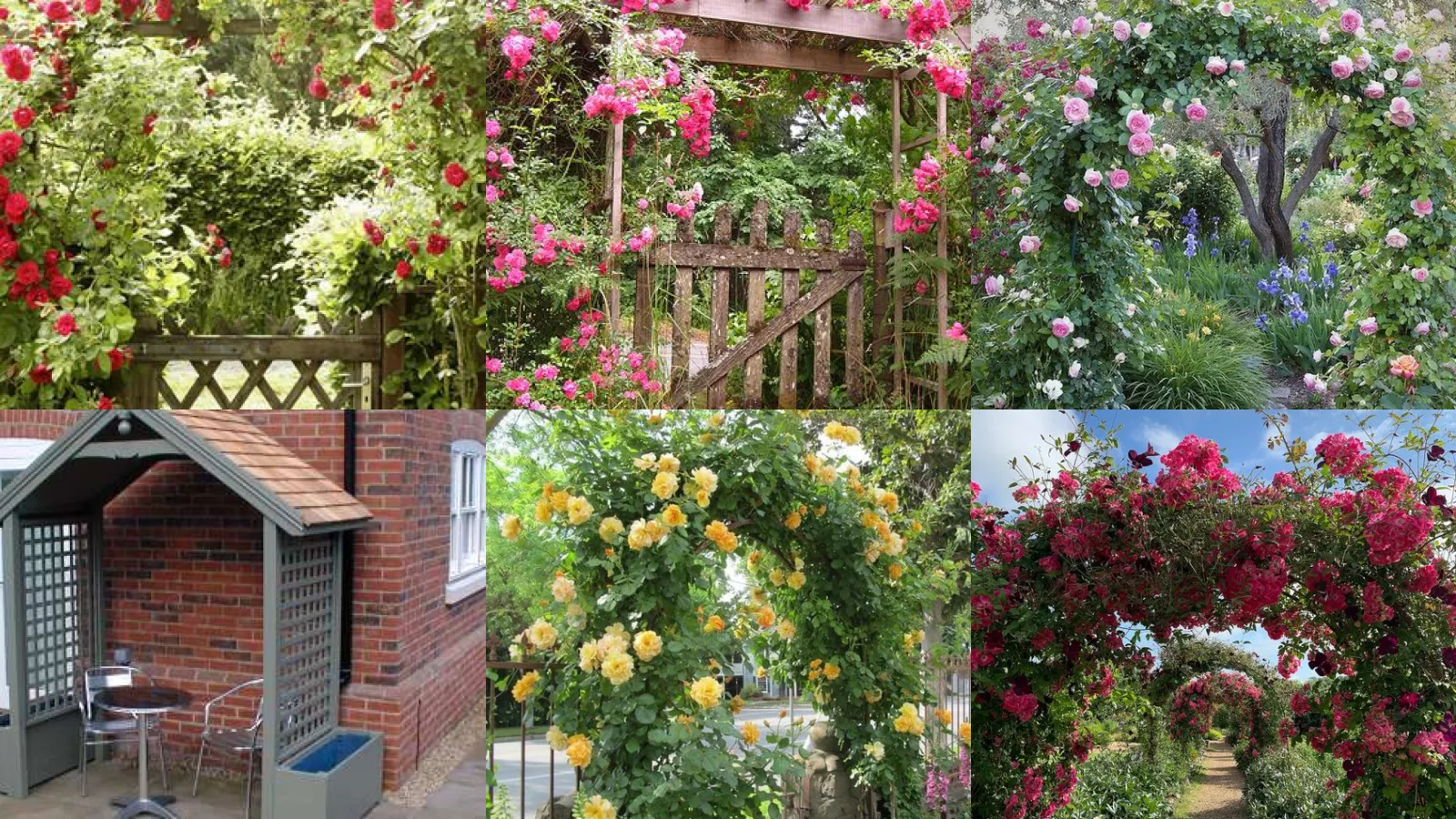 19+ Stunning Rose Arches That Transform Any Garden