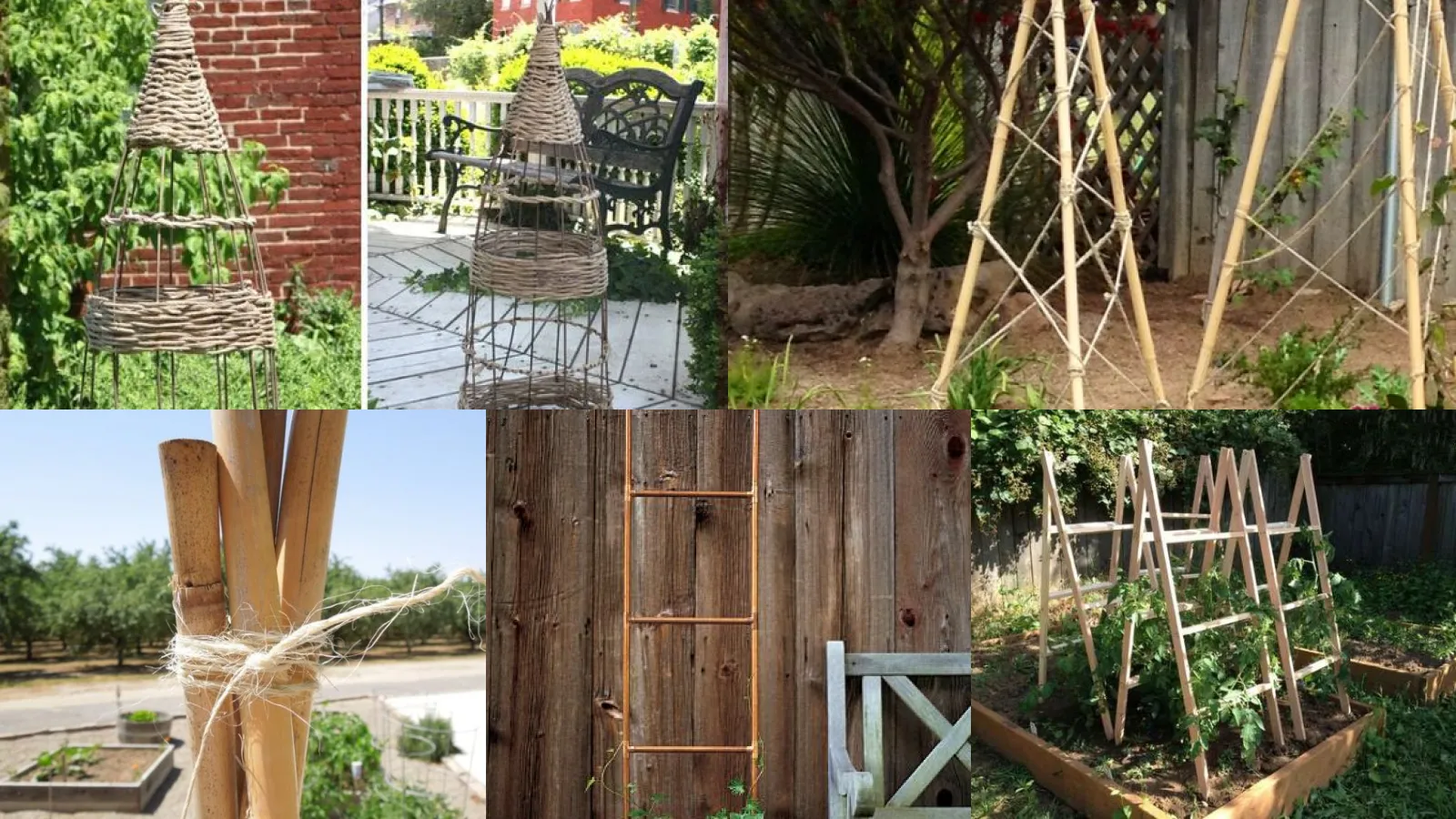 20+ Genius Rustic Tomato Cage Ideas That Transform Gardens