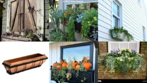 20+ Stunning Shed Window Boxes That Transform Your Yard