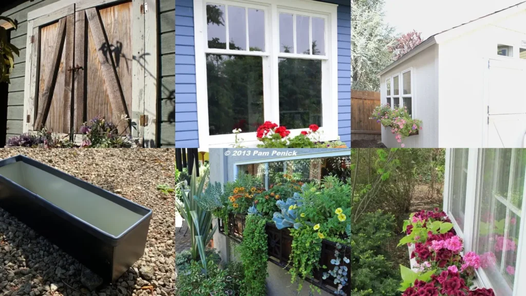 20+ Stunning Shed Window Boxes That Transform Your Yard