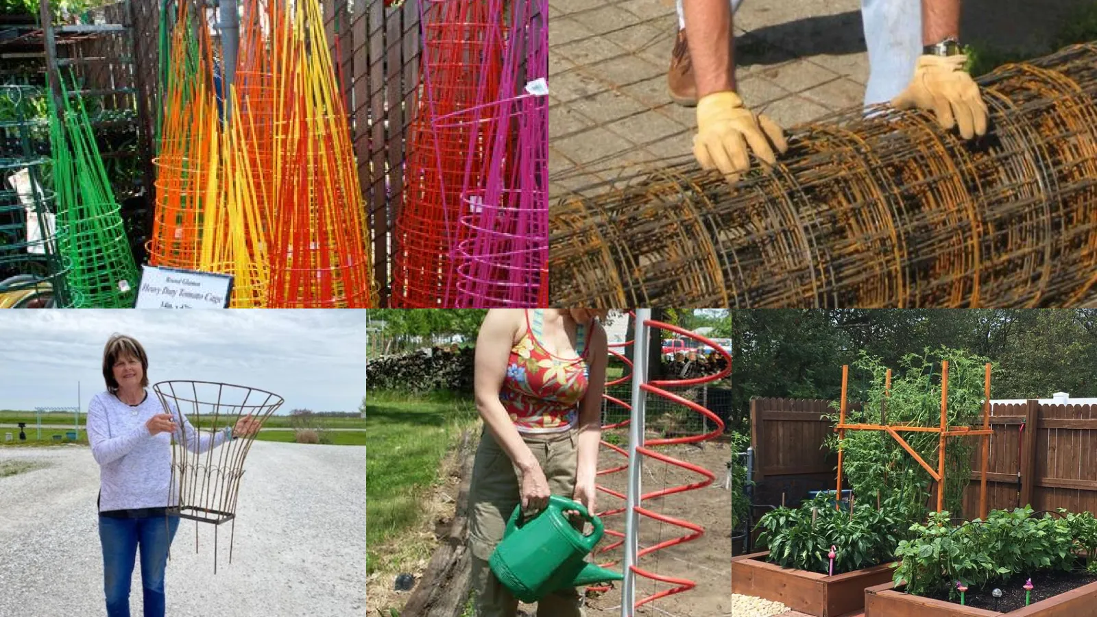 20+ Genius Tomato Cage Ideas Gardening That Multiply Yields
