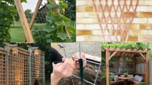 20+ Stunning Trellis Gardening Ideas That Transform Tiny Yards