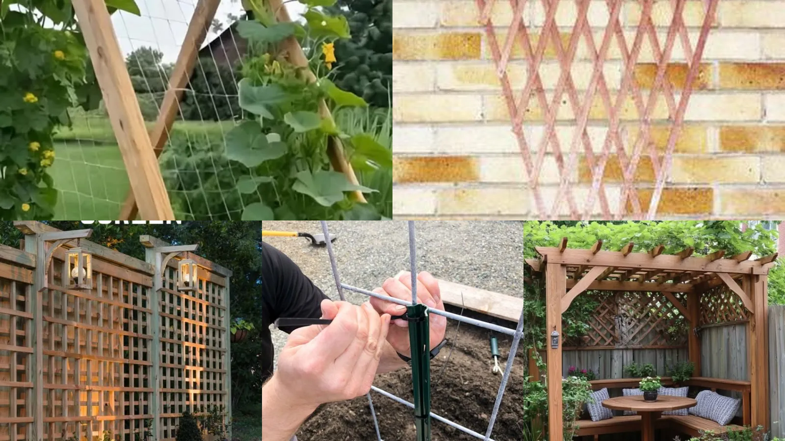 20+ Stunning Trellis Gardening Ideas That Transform Tiny Yards