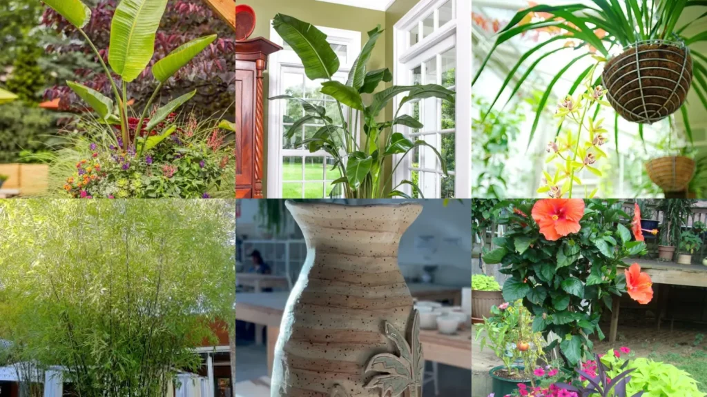 19+ Stunning Tropical Planter Ideas That Transform Spaces