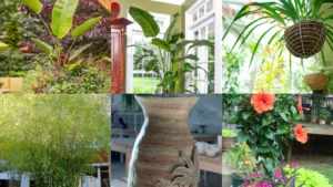 19+ Stunning Tropical Planter Ideas That Transform Spaces