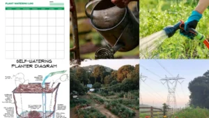 13+ Genius Watering Schedule Ideas Garden Pros Swear By