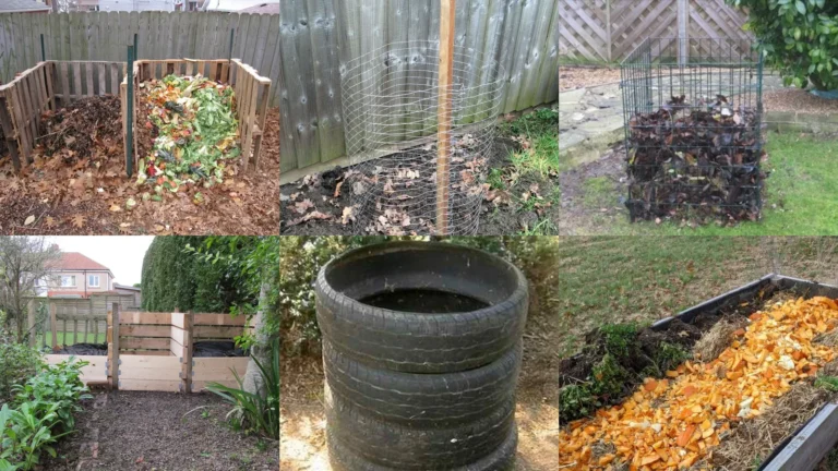 19+ Genius Allotment Ideas Compost Systems Experts Swear By