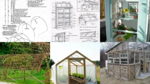 20+ Cheap Greenhouse Plans That Actually Work