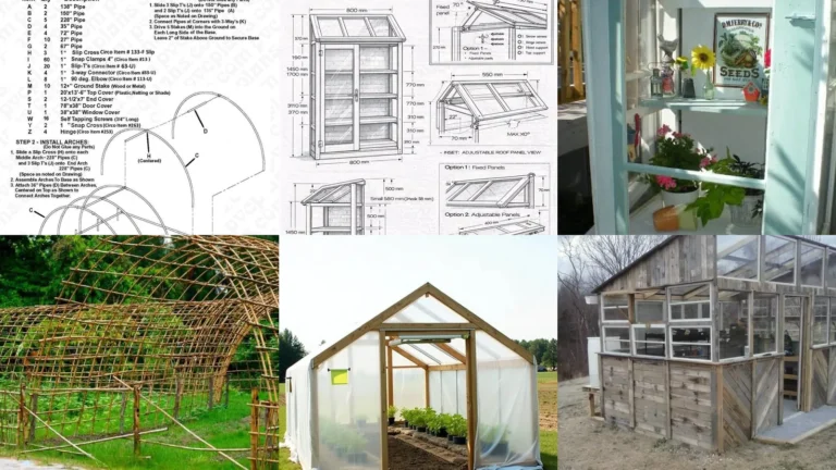 20+ Cheap Greenhouse Plans That Actually Work