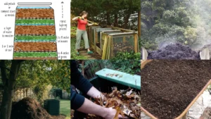 20+ Genius Compost Pile Hacks That Triple Your Yield