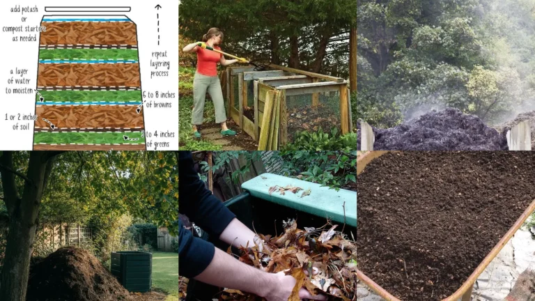 20+ Genius Compost Pile Hacks That Triple Your Yield