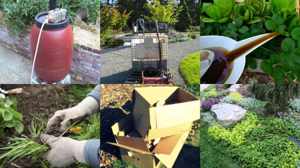19+ Genius Compost Tea Basics Ideas That Boost Garden Growth