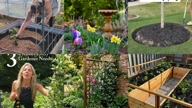 16+ Garden Bed Refresh Ideas Spring That Transform Your Yard