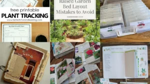 17+ Garden Journal Ideas That Transform Your Growing Season