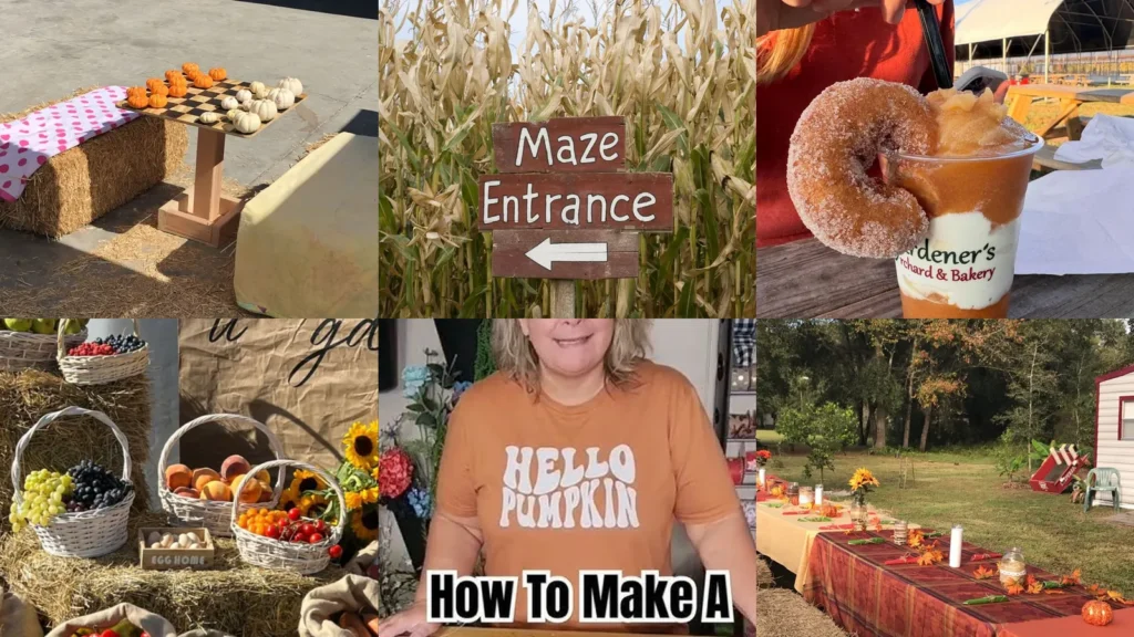 20 Harvest Festival Ideas With Pumpkin Games, Sweet Treats and Fall Decor