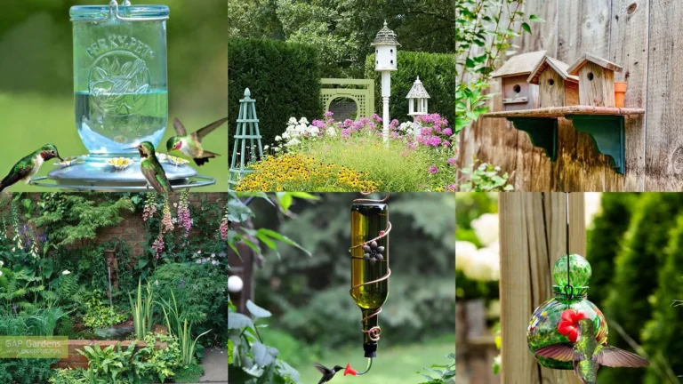 20+ Genius Hummingbird Feeder Ideas That Birds Adore