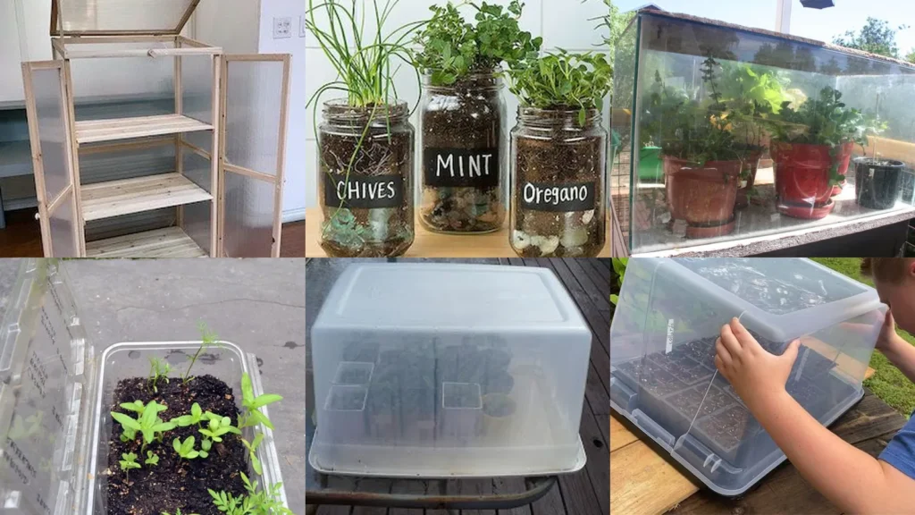 19+ Genius Indoor Greenhouse Cheap Ideas That Transform Spaces