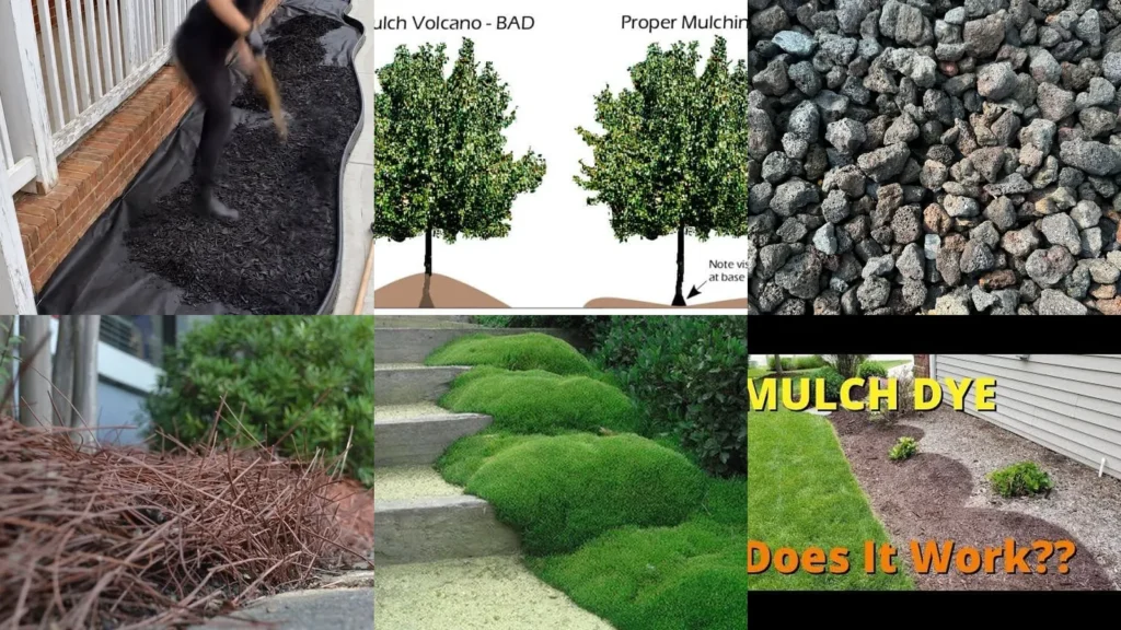 20+ Stunning Mulch Ideas Flower Beds That Transform Yards