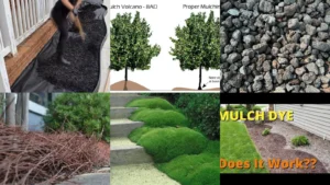 20+ Stunning Mulch Ideas Flower Beds That Transform Yards