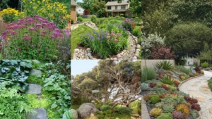 14+ Native Plant Gardening Hacks That Transform Any Yard