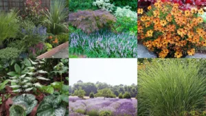 20+ Genius Perennial Garden Ideas Low Maintenance Worth Stea