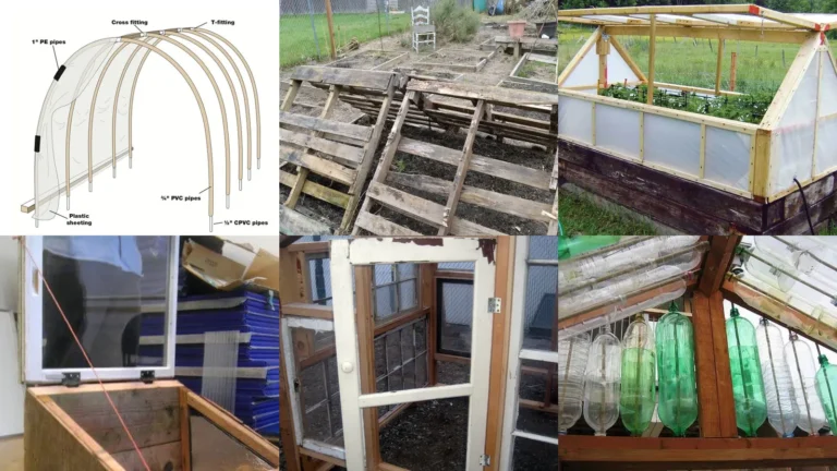 18+ Quick Cheap Greenhouse Ideas That Actually Work