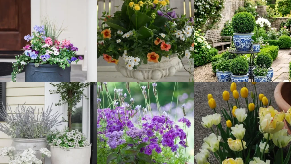 19+ Spring Container Combos Ideas That Steal the Show