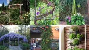 20+ Stunning Trellis Plant Ideas That Transform Tiny Yards
