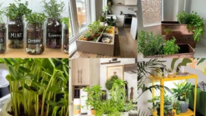 20+ Genius Window Herb Ideas Kitchen Pros Swear By